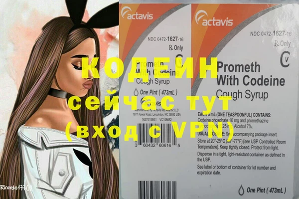 стаф Балахна