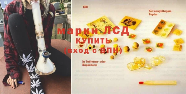 СК Арсеньев