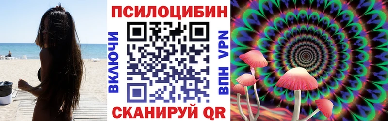 Псилоцибиновые грибы Psilocybine cubensis Петухово